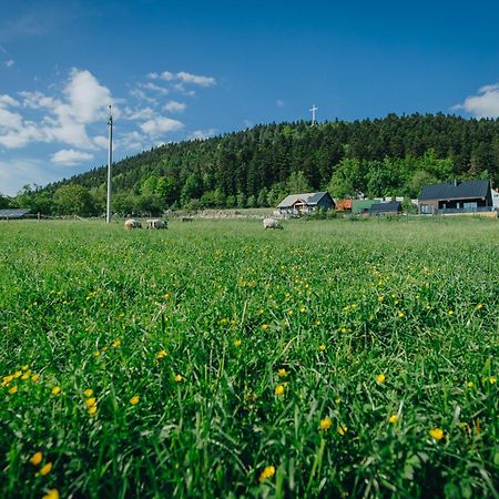Apartamenty Lesna Limanowa Eksteriør bilde
